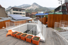 [건축과 도시-불암골 행복발전소] 별 모양 대지...불암산 닮은 지붕...마을 풍경과 한데 어울린 건물