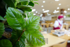 민속마을 구경...암각화 박물관...고속道 휴게소서 힐링하세요