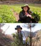 ‘한국기행’ 문경 처녀 농부의 봄나물 이야기···‘오지에서 만난 나물이네’