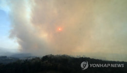 강릉 산불 확산, 6개 마을 주민 대피령···동해고속도로 일부 구간 통제