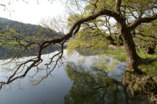 [신록의 산골마을 전남 화순] 세량지 물안개, 옥빛 수면을 수놓다