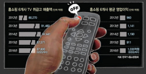 와이에스홈쇼핑(TV) | ‘TV 밖으로’ 돈 벌러 나가는 TV홈쇼핑