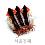 밥상 물가 급등에 할인 경쟁 나선 유통업계