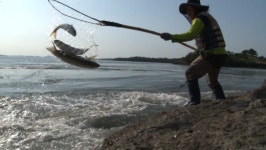 ‘VJ특공대’ 해남 숭어 뜰채잡이·하동 은어 대나무 낚시···‘6월의 강태공들’