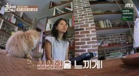 이효리, ‘효리네 민박’ 오픈 각오···“제주도의 심심함 알려주고파”