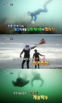 ‘휴먼다큐 사노라면’ 포항 앞바다 상군·하군 해녀들의 ‘성게 대첩’