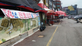 [초복 맞은 성남 모란시장] 개 짖는 소리 뚝···손님 발길도 뚝