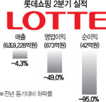 롯데쇼핑 ‘사드 쇼크’ ··· 2분기 순익 95% 줄었다