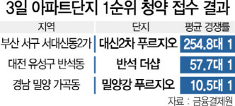 규제 피한 부산 서구 아파트 투자 수요 몰렸다