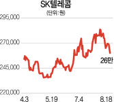 통신주 요금인하 강행 쇼크