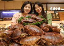 [사진] 롯데百, “북아일랜드산 브라운크랩 드세요”