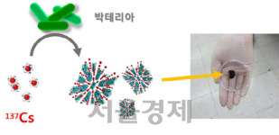 원자력硏, 방사능오염수 효과적 정화 기술 상업화 나서