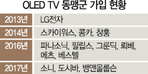 중국서 OLED TV 전선 넓히는 LGD