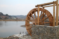 하동군, 배드리공원 코스모스·호박축제 오세요