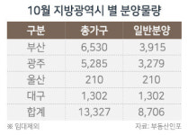 10월 지방 광역시 8,700가구 분양...작년보다 3.6배 증가