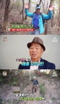 ‘서민갑부’ 송이로 한달 매출 11억원, 비법은?···안동 ‘청량산자락송이’