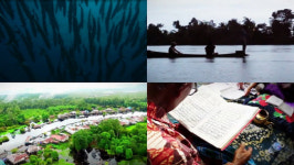 ‘세계테마기행’ 아시아 최후의 정글 3부···‘풍요의 낙원, 정글에 산다’