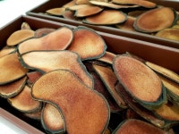 준경한의원 김남엽원장, 공진단 녹용에 대해 말하다