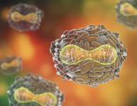 세계를 바꾼 최초의 천연두 백신