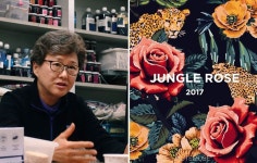 뮤트뮤즈 베스트셀러 정글로즈 스트랩의 콜라보레이션 디자이너 이경화 대표