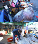 ‘한국기행’ 포항 죽도어시장 개복치 해체꾼의 놀라운 실력 공개