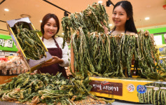 펀치볼크린 | 펀치볼 시래기 맛보세요