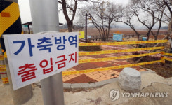 ‘사조화인코리아’ 나주 도축장, H5N6형 AI 확인···이동중지 연장