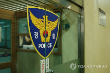 김천서 길고양이 4마리 훼손된 채 발견···목격자 없어 수사 난항
