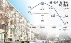 상승세 한풀 꺾인 서울 재건축