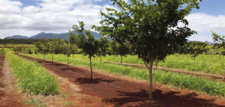 100% 재생가능 에너지로!