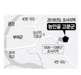 부여 능안골 고분군, 22년만에 발굴조사