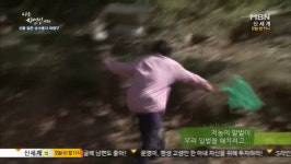 ‘말벌아저씨’ 나는 자연인이다 ‘레전드’ 무슨 얘기만 할 것 같으면 사라져 “지나치게 착하고 순수한