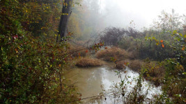 수십억 달러 세금이 샌다