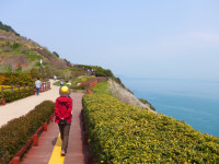 [쉼] 부산하면 해운대·광안리? 초록빛 오륙도·대나무숲도 장관이네