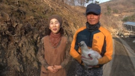 ‘VJ특공대’ 귀산으로 인생 2모작··· 횡성 ‘노아의 숲’·경산 ‘봉림농원’