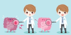 몸 속 해독이 필요할 때, 바이오 유산균의 효과는?