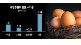 [에셋+]최근 주가 하락은 되레 기회... 지금부터 배당주 투자해볼만