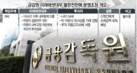 유로에셋 파생상품 불완전판매 금감원, 피해자 소송 지원 사격