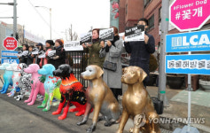 서울시장 후보 전원 “개고기 먹지 않는다”..‘개 식용 금지법’ 찬성?
