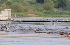 4대강 보 개방 1년···녹조 줄고 모래 늘어