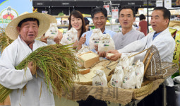 하나로마트 여주 햅쌀 출시