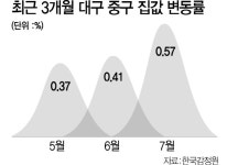 357가구 분양에 10만여명 몰려  ...펄펄 끓는 대구, 규제 확대 가능성