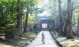이*성(경남80배**08) | [休-경남 합천]팔만대장경 지켜온 햇살···번뇌의 소리, 여기 멈추다