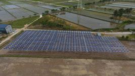 [혁신 드라이브 거는 공기업]한국남동발전, 영농형·수상태양광에 투자