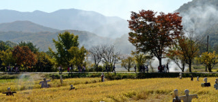 [休-충남 아산]松林 비집고 나온 햇살...晩秋의 한가운데 서다