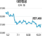 신원인터내셔날항공주 | 항공주 모처럼 날았다