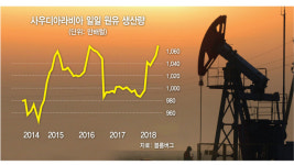 원유 감산으로 선회한 사우디...러, 거센 반발