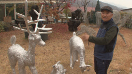 순간포착 세상에 이런일이 연체 인간·인형 외우는 강아지···알루미늄 장인까지?