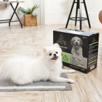 애경산업 펫케어 브랜드 휘슬 삼성카드와 사회공헌 등 맞손