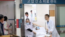 채 피어보지도 못하고···가스누출에 첫 우정여행 산산조각